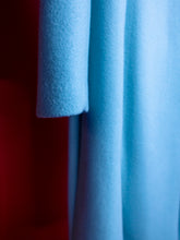 画像をギャラリービューアに読み込む, Paphilopedilum Coat