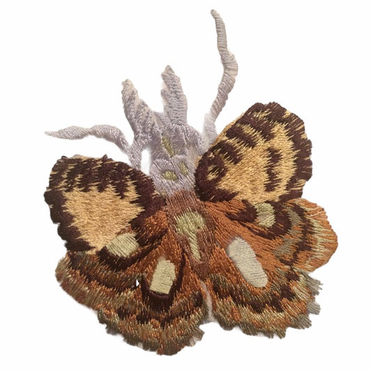 Chelicerata Butterfly Appliqué