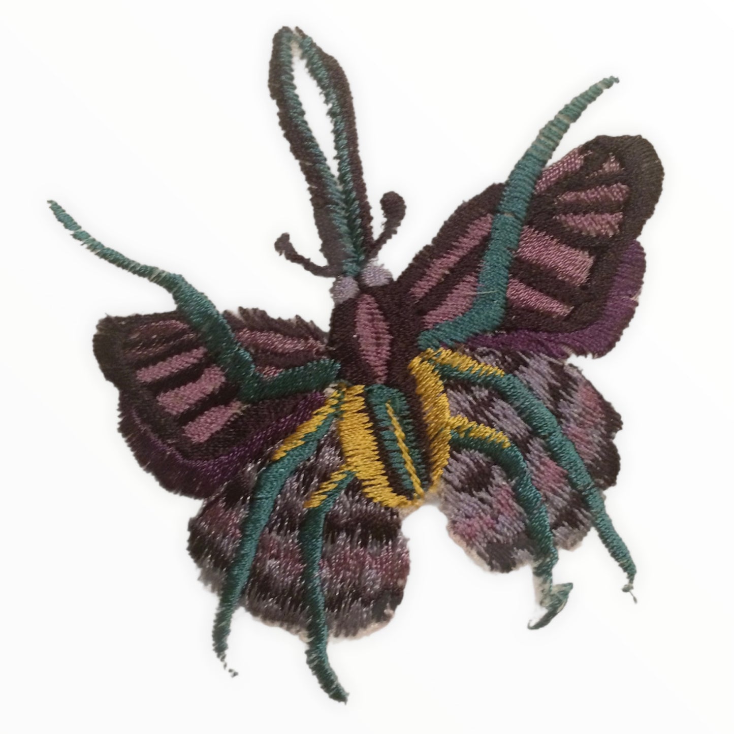 Phasmidae Butterfly applique