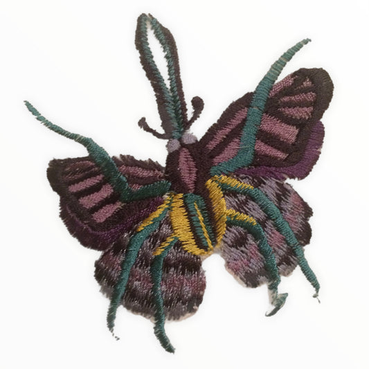 Phasmidae Butterfly applique