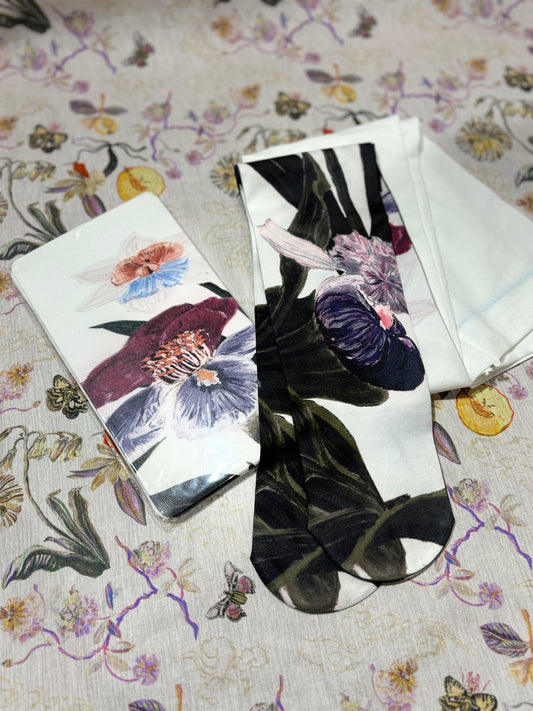 Tights Camelia Narcissus タイツ・カメリア ナルシス